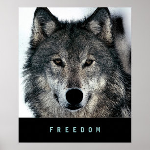 Moderne Motivatie Freedom Wolf Poster Print