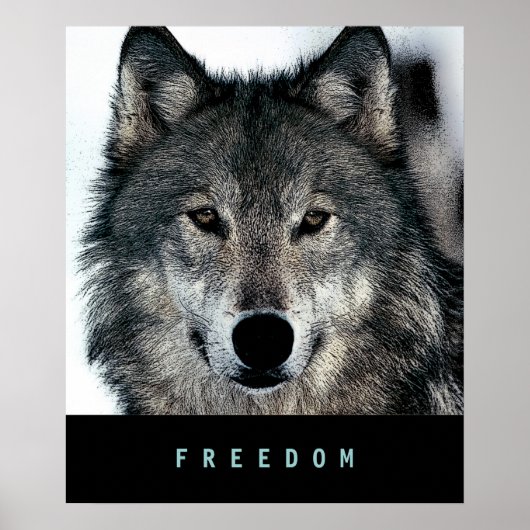 Moderne Motivatie Freedom Wolf Poster Print (Voorkant)