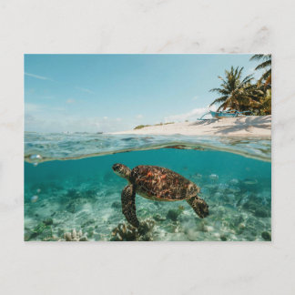 Moderne Natuur Strand Landschap Ansichtkaart Feestdagenkaart