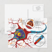 Moderne neuronstijl briefkaart (Voorkant / Achterkant)