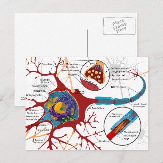 Moderne neuronstijl briefkaart (Voorkant / Achterkant)