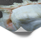 Moderne Neutrale Tropische Seashell Printable Art Poster (Hoek)