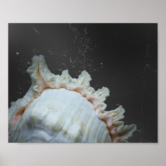 Moderne Neutrale Tropische Seashell Printable Art Poster (Voorkant)