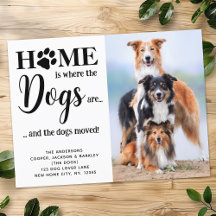 Moderne Nieuwe Adres Aangepaste Foto Honden Huisdi
