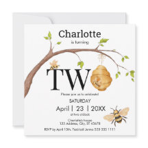 Moderne ombouw twee zwarte gele bijenkorven