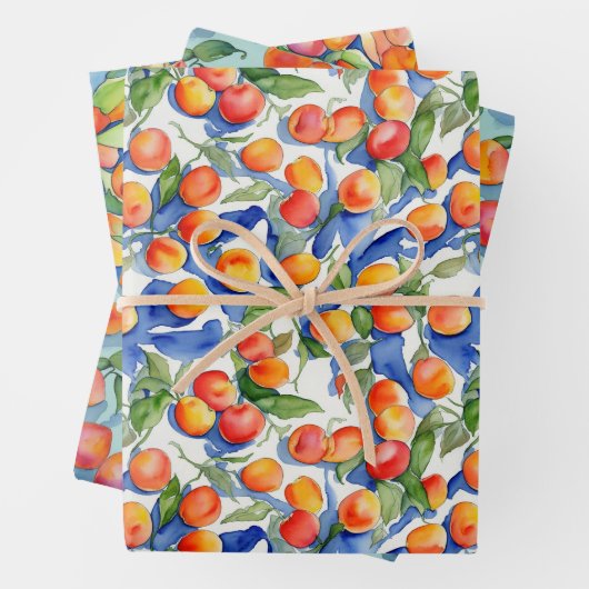 Moderne Oranje abrikozen perzik vruchten Waterverf Inpakpapier Vel (In situ)