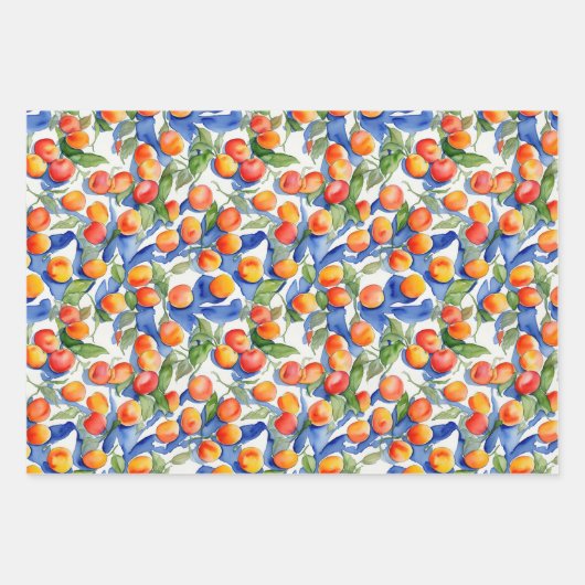 Moderne Oranje abrikozen perzik vruchten Waterverf Inpakpapier Vel (Voorkant)
