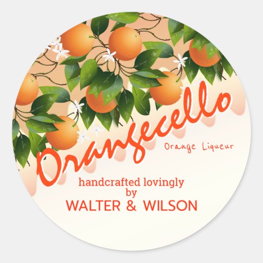 Moderne Oranje Orangecello Ronde Sticker (Voorkant)