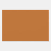 Moderne Oranje, vaste kleurenpapierbladen voor het Inpakpapier Vel (Voorkant 3)