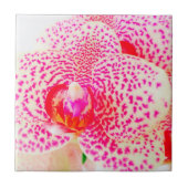 Moderne orchidee roze bloem tegeltje (Voorkant)