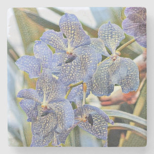 Moderne Paarse blauwe orchidee bloemen Stenen Onderzetter