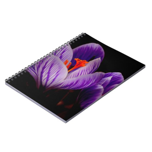 Moderne Paarse tulpenbloem Notitieboek (Linkerzijde)