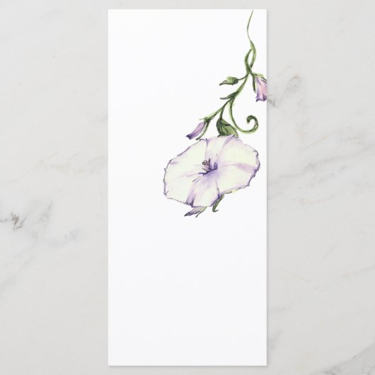 Moderne Pansy Menu (Achterkant)