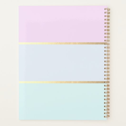 Moderne pastel gestreept, roze flamingo's planner (Achterkant)