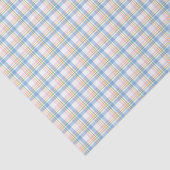 Moderne Pastel Gingham Tissuepapier (Detail)
