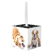 Moderne Patroondoos 3 Foto collage Decoratie (Achter hoekig)