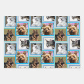 Moderne Patroonlichtblauw Elke kans 9 Foto Inpakpapier Vel (Voorkant)