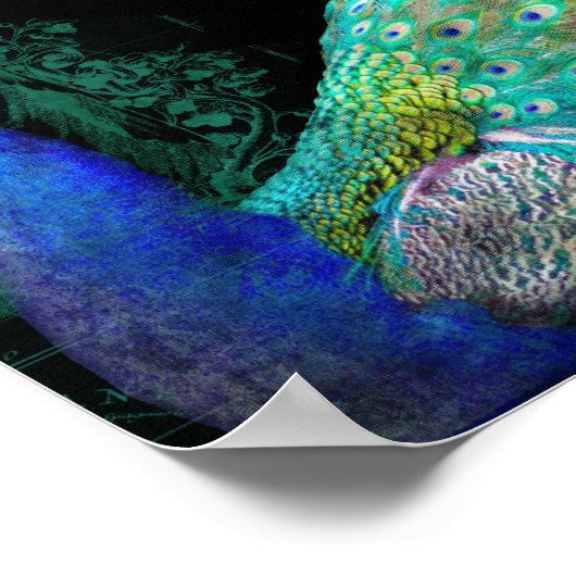 Moderne  Peacock Elegant Wall Art Uitzicht Poster (Hoek)