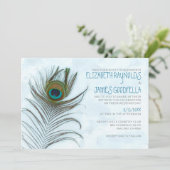 Moderne Peacock-feederweddenschappen Kaart (Staand voorkant)