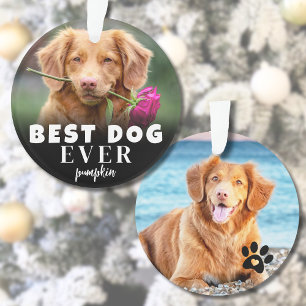 Moderne Persoonlijke Knuffel Beste Hond Ooit Foto Ornament