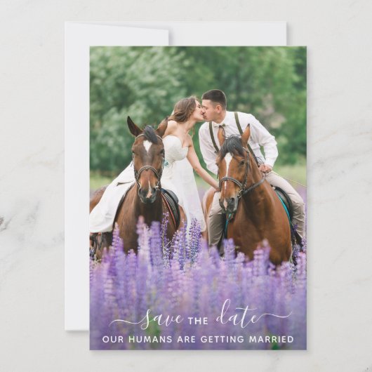 Moderne persoonlijke paardenfoto's met speciale pa save the date (Voorkant)