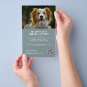 Moderne Pet Care Sitting Service Foto Business Flyer (Hand)