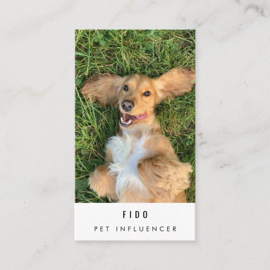 Moderne Pet Dog Influencer Foto QR Code Visitekaartje (Voorkant)