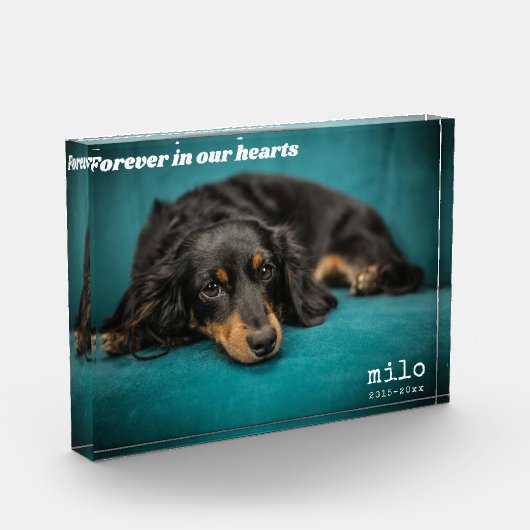 Moderne Pet Memorial Custom Overlay Pet Fotoblokken (Links)