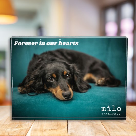 Moderne Pet Memorial Custom Overlay Pet Fotoblokken