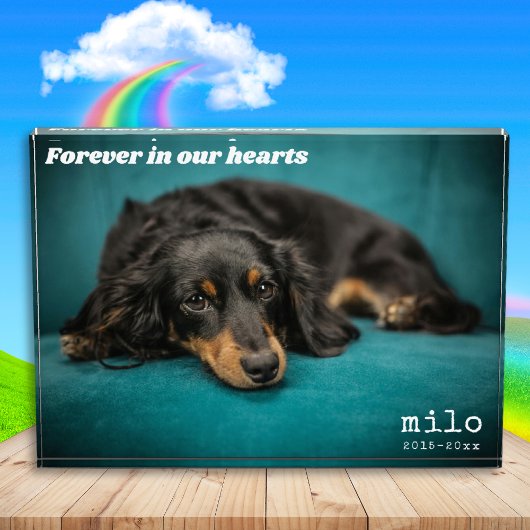 Moderne Pet Memorial Custom Overlay Pet Fotoblokken