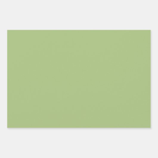 Moderne Pistache Groen Plain Solid Kleur Inpakpapier Vel (Voorkant 2)
