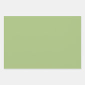 Moderne Pistache Groen Plain Solid Kleur Inpakpapier Vel (Voorkant)