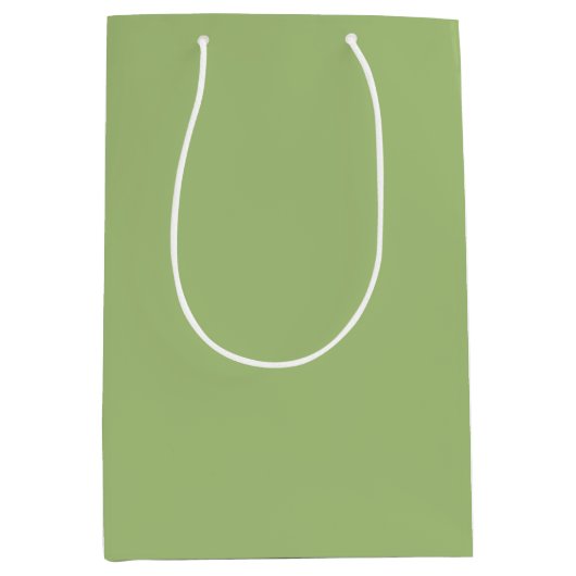 Moderne Pistache Groen Plain Solid Kleur Medium Cadeauzakje (Voorkant)