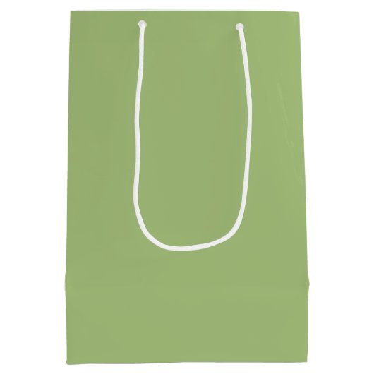 Moderne Pistache Groen Plain Solid Kleur Medium Cadeauzakje (Achterkant)