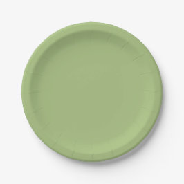 Moderne pistachegroene effen kleur papieren bordje