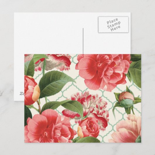 moderne  pony briefkaart (Voorkant / Achterkant)