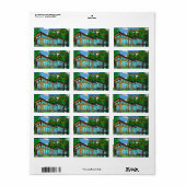 Moderne Pop Art Boshuisje Mid-Century Comic Etiket (Full Sheet)