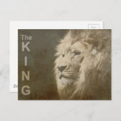 Moderne Pop Art Sjabloon Animal Lion Hoofd koning Briefkaart (Voorkant / Achterkant)