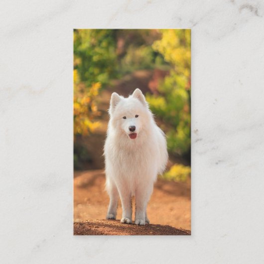 Moderne QR Code Hondenwandelen Visitekaartje (Voorkant)