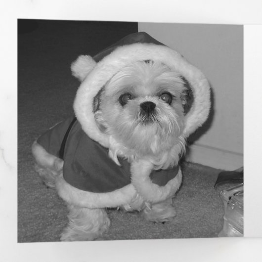 Moderne Red Rustic Snowflake Feestelijke 3 Foto Drieluik Wenskaart (Binnenzijde eerst)