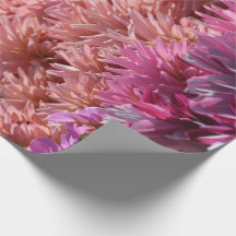 Moderne regenboogroze Oranje Paarse Dahlia Flower