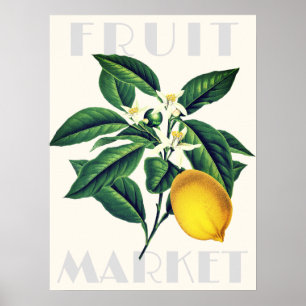 Moderne Retro Fruitmarkt Citroenbloesem Poster