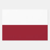 Moderne rode en witte Kwanzaa Inpakpapier Vel (Voorkant 3)