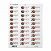 Moderne Rode Kerst Foto Retouradres Etiket (Full Sheet)