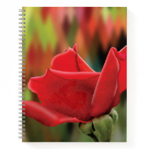 Moderne Rode Roos Hoog Poly Hardcover Journaal