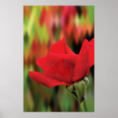 Moderne Rode Roos Met Hoge Poly | Botanische Wandk Poster (Voorkant)