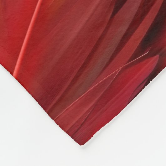 Moderne rode veren fleece deken (Hoek)