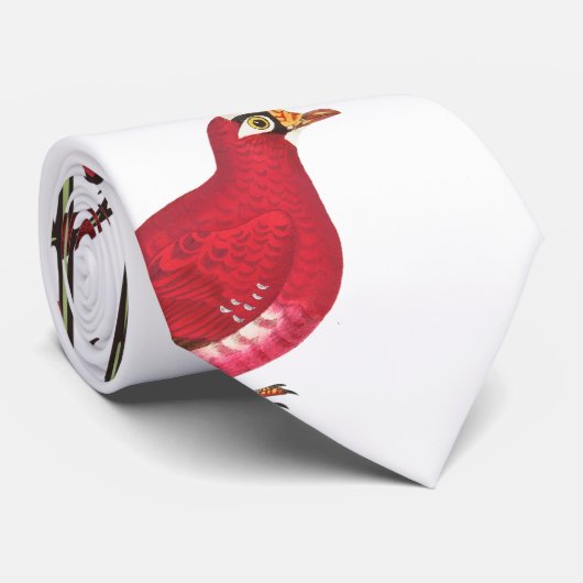 Moderne rode vogel ontwerp stropdas (Opgerold)