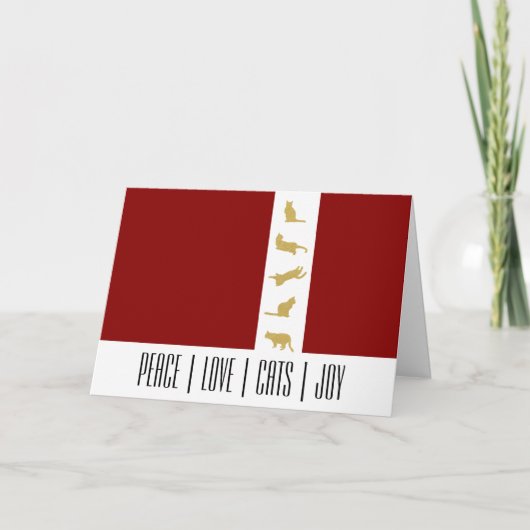 Moderne Rood Wit Goud Kat Kerstmis Feestdagen Kaart (Voorkant)
