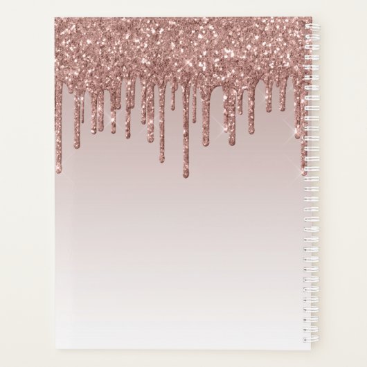 Moderne Roos Gold Glitter Drift elegant monogram Planner (Achterkant)